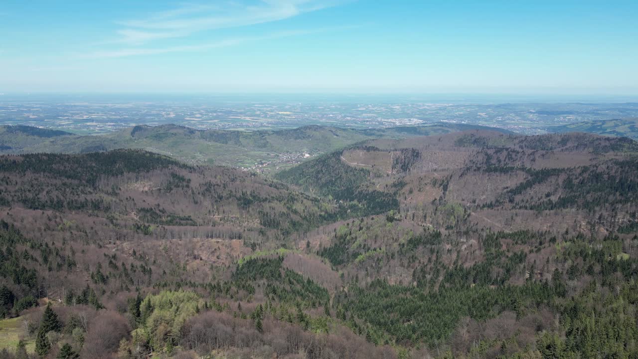 산꼭대기, 숲, 울창한 초록색과 나무와 함께 여름 날 동안 산