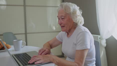 senior woman having video call on laptop.