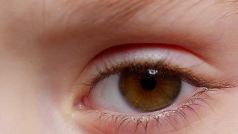 highly detailed macro shot opening, closing brown color pigmentation eyes of little children girl