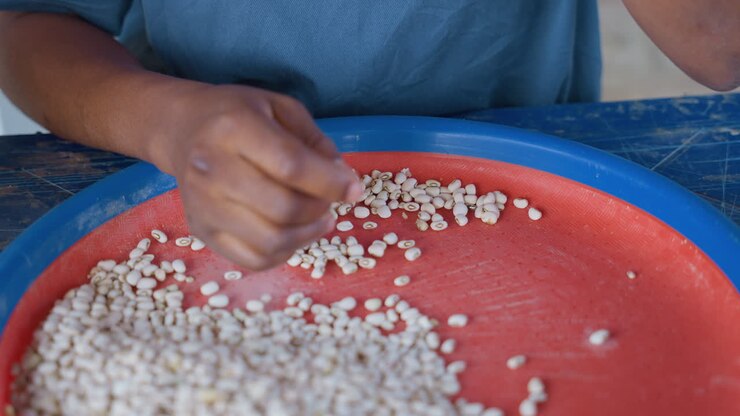 Sorting beans quickly. Efficient kitchen hand at work. Brightly colored kitchen scene with energetic bean filtering. Dynamic home kitchen environment with hands swiftly sorting and tapping beans