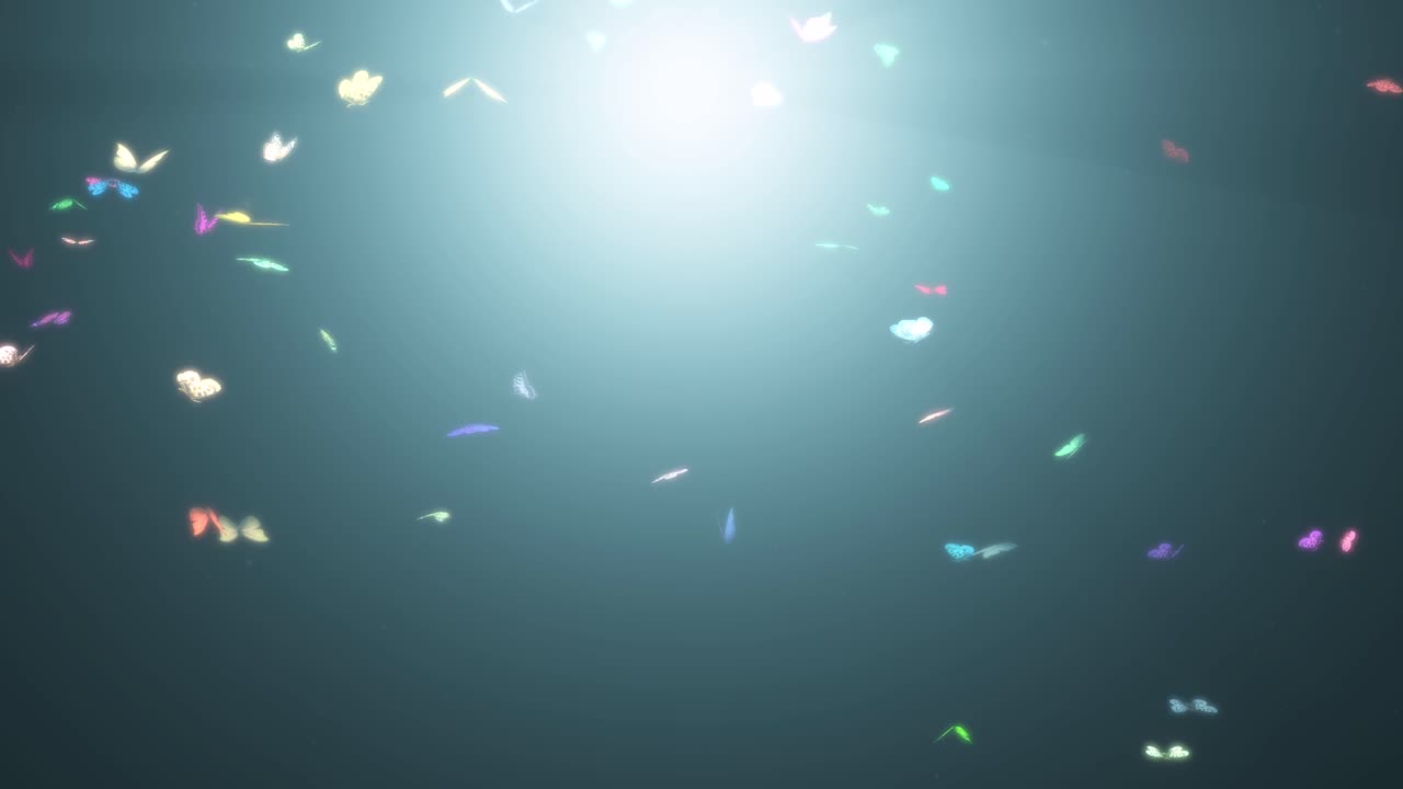 화려한 아름다운 나비가 앞을 날아다닙니다.