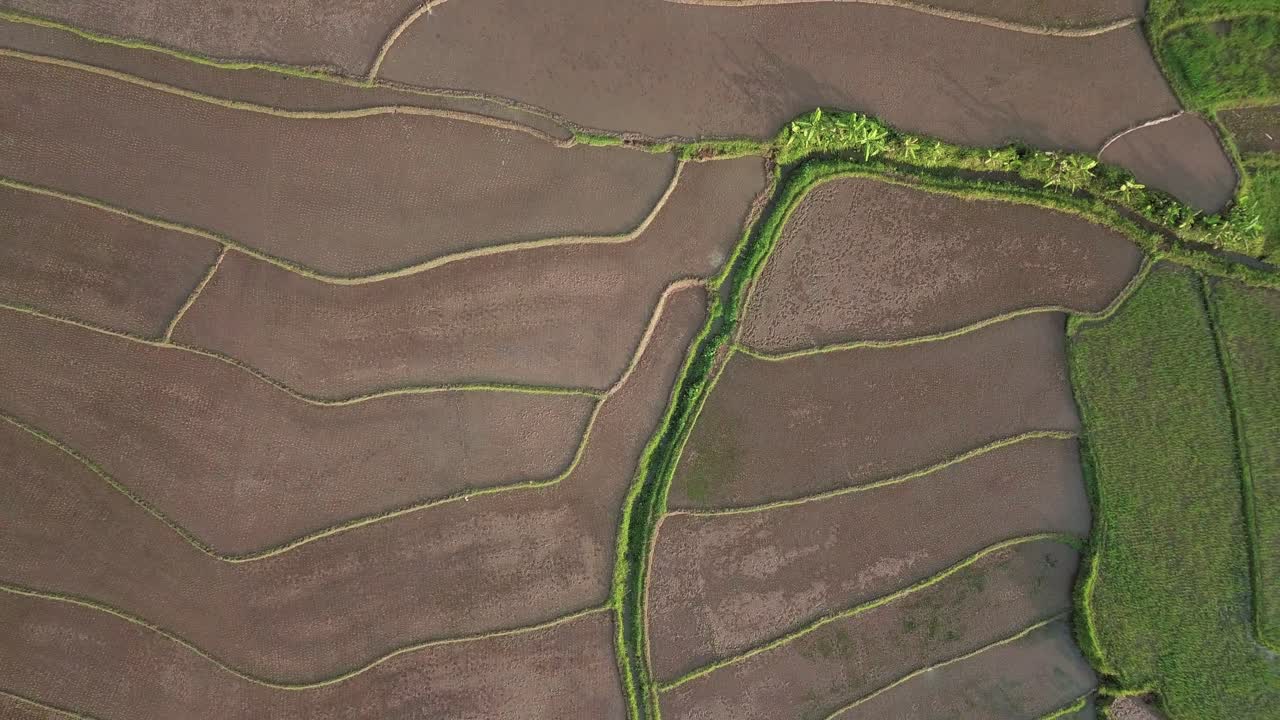 toma aérea de drones de arrozales inundados durante el día soleado y montañas gigantes en el fondo - toma cinematográfica de drones