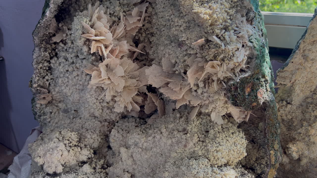 Interno di geode minerale con roselle di cristallo lamellari e texture druse pallide, rivelate in una ripresa ravvicinata dettagliata.