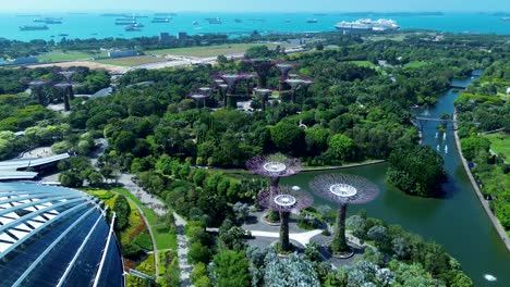 Drone-Aéreo-Sobre-Jardines-Del-Puerto-Deportivo-Junto-A-La-Bahía-Naturaleza-Parque-árboles-Río-Lago-Flor-Cúpula-Singapur-Ciudad-Turismo-Turismo-Viajes-Asia-Puerto-Barcos