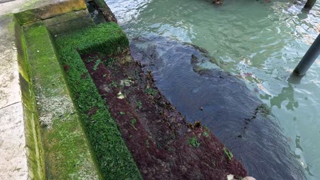 water ebbing and flowing over canal steps