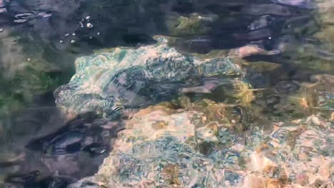 a colorful large green rock under glistening clear water passes over