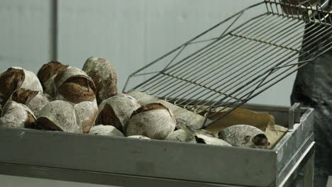 baker take out the freshly baked sourdough bread from the oven and then transfer it from a stainless table