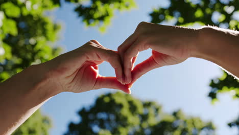 hands forming heart shape against blue sky and green foliage