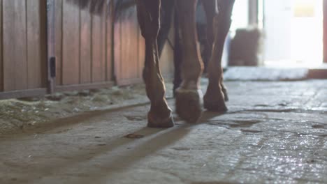 footage of horse's legs walking through stable.