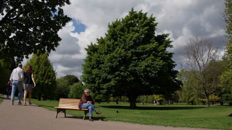 people relaxing in a park on a cloudy day
