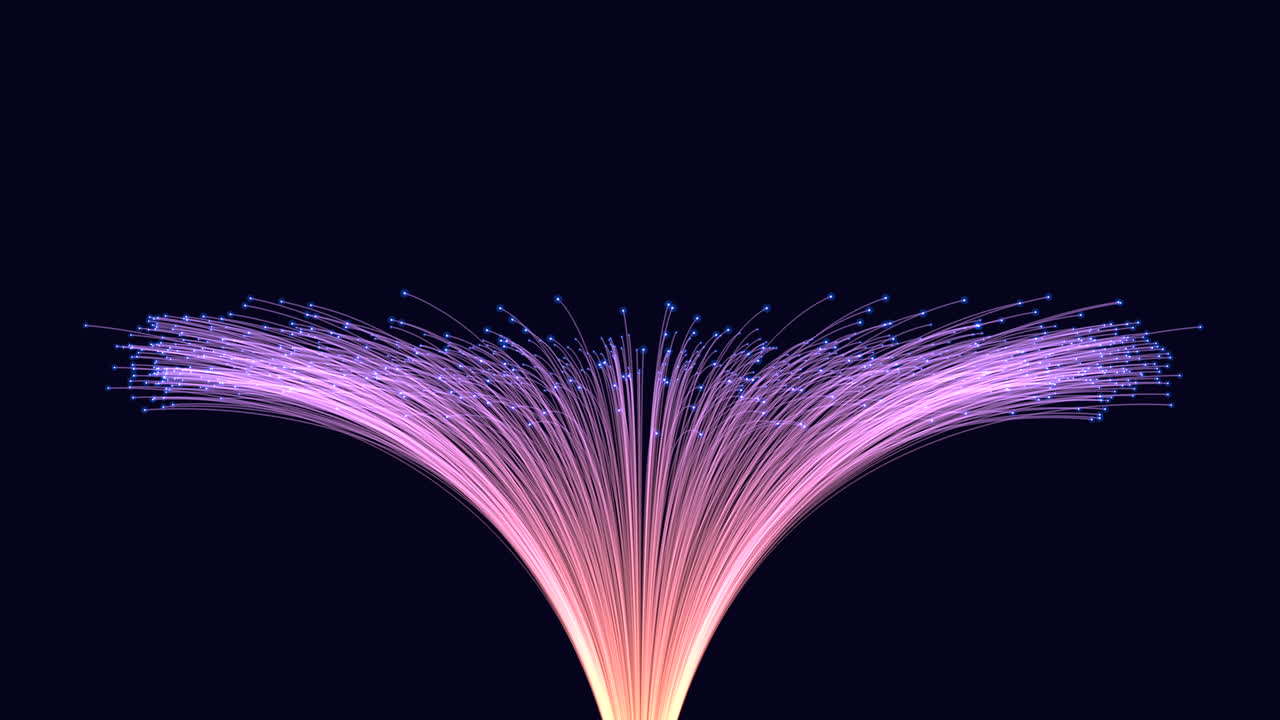 미래의 흐름 핑크와 보라색은 검은 바탕에 빛의 흐름