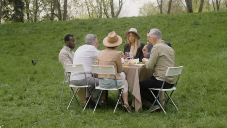 Vista-Lejana-De-Un-Grupo-De-Amigos-De-Mediana-Edad-Comiendo-Y-Hablando-Entre-Ellos-Sentados-En-La-Mesa-Durante-Una-Fiesta-Al-Aire-Libre-En-El-Parque