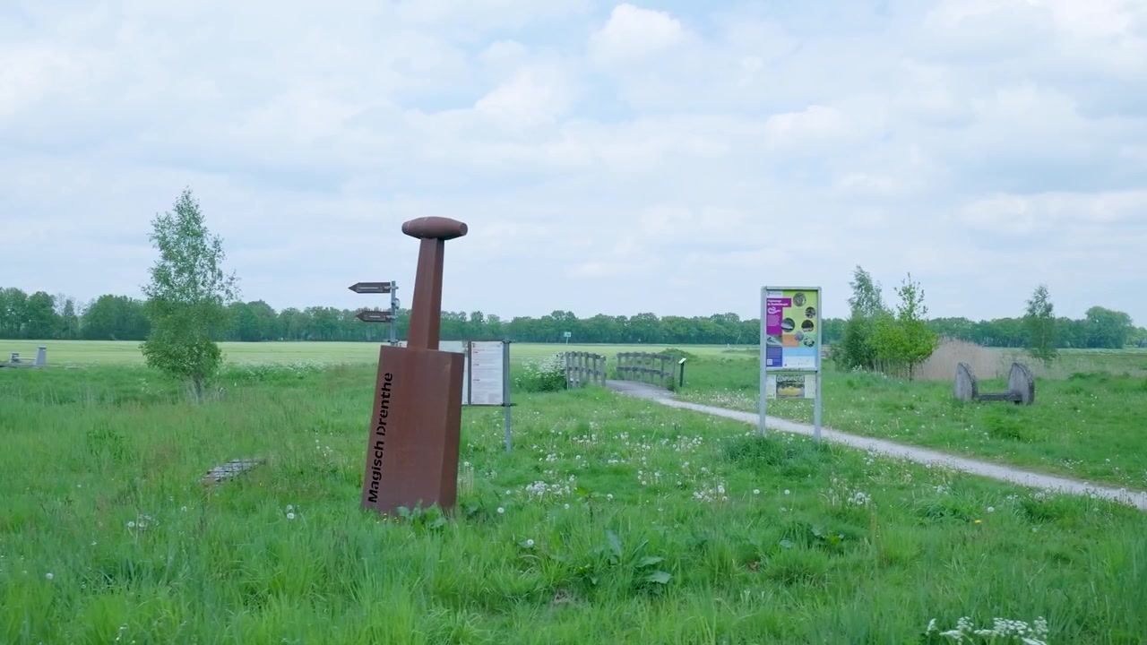 Schilderachtig wandelpad door groene weide in Drenthe