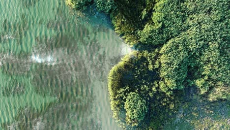 夏の晴れた日に、湖の透き通った水の波打つ表面