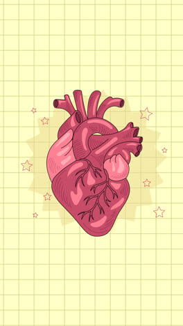 an animation of a hand drawn heart drawing illustration