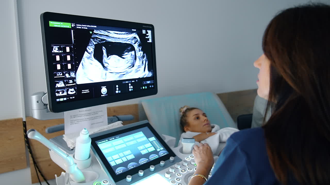 Dark-haired female doctor looks at ultrasound monitor. Specialist checks the development of a baby in mom's womb.