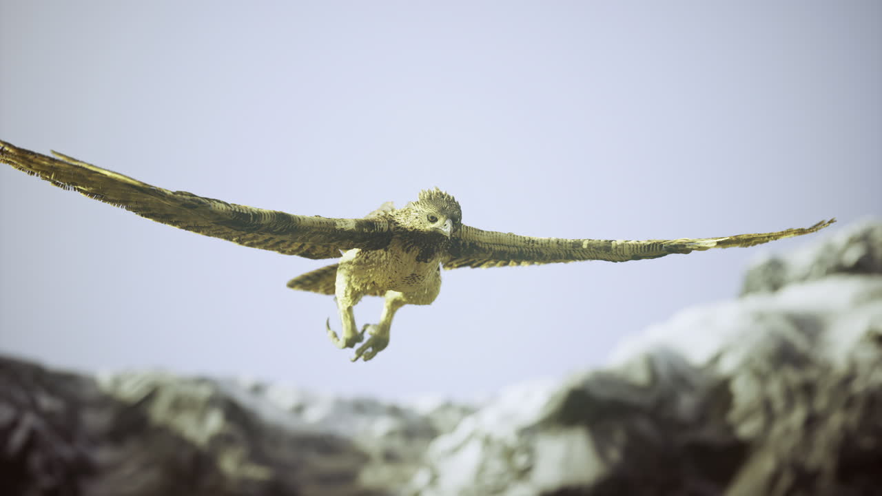 Majestic hawk in flight over rocky landscape during clear blue sky