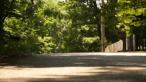 quiet country road in the summertime shaded in trees