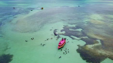 Drone-clip-of-nylon-pool-in-tobago