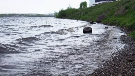 waves are washing logs on the shore of the reservoir.