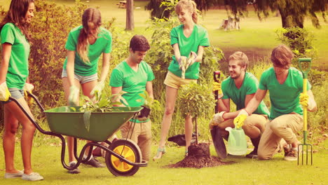 amigos felices haciendo jardinería para la comunidad.