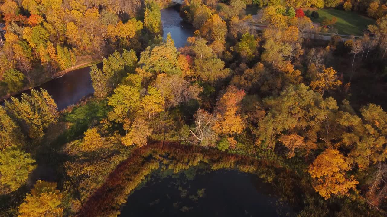 공원의 강에서 하향식 조감도