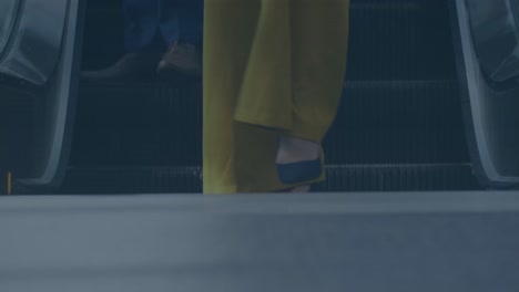 다양한 사업자들에 대한 데이터 처리를 통해 통계의 활성화