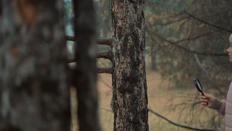 niña mirando a través de una lupa en el bosque. niños y ciencia.