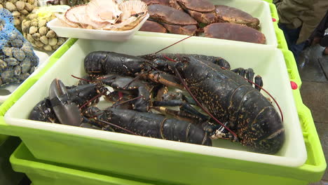 fresh lobsters and seafood at a market
