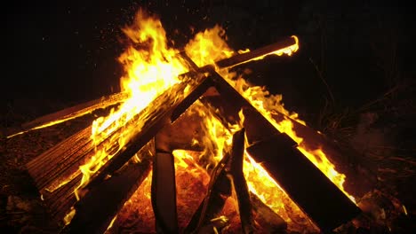 hoguera en la noche quemando basura y madera