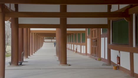 empty hall at todaiji in nara japan as tourism enters lock-down from pandemic