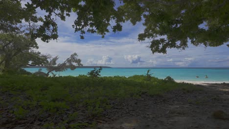 Eine-Perspektive-Aus-Dem-Schatten-Eines-Baumes-Auf-Einen-Tropischen-Strand,-An-Dem-Menschen-Wimmeln,-Die-Schwimmen-Und-Tagsüber-Gemächliche-Aktivitäten-Genießen