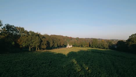 autumn landscape with a field and trees