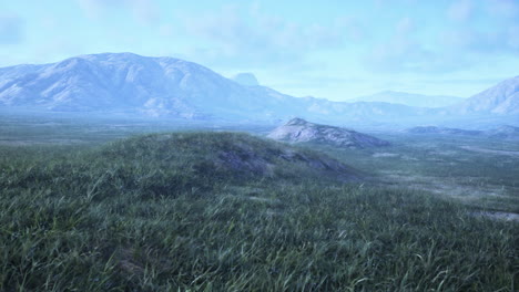 campo de hierba verde con cordillera en el fondo