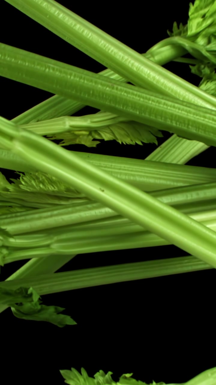 Fresh Green Celery Stalks on a Black Background