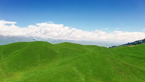 mountains and grassland in a sunny day.