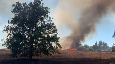 Fuego-De-Matorrales-Arrasa-A-Través-De-La-Hierba