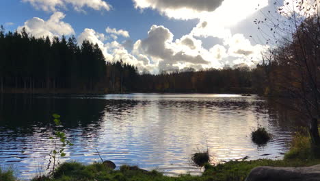 294-Hermoso-Lago-En-El-Bosque-Durante-El-Otoño