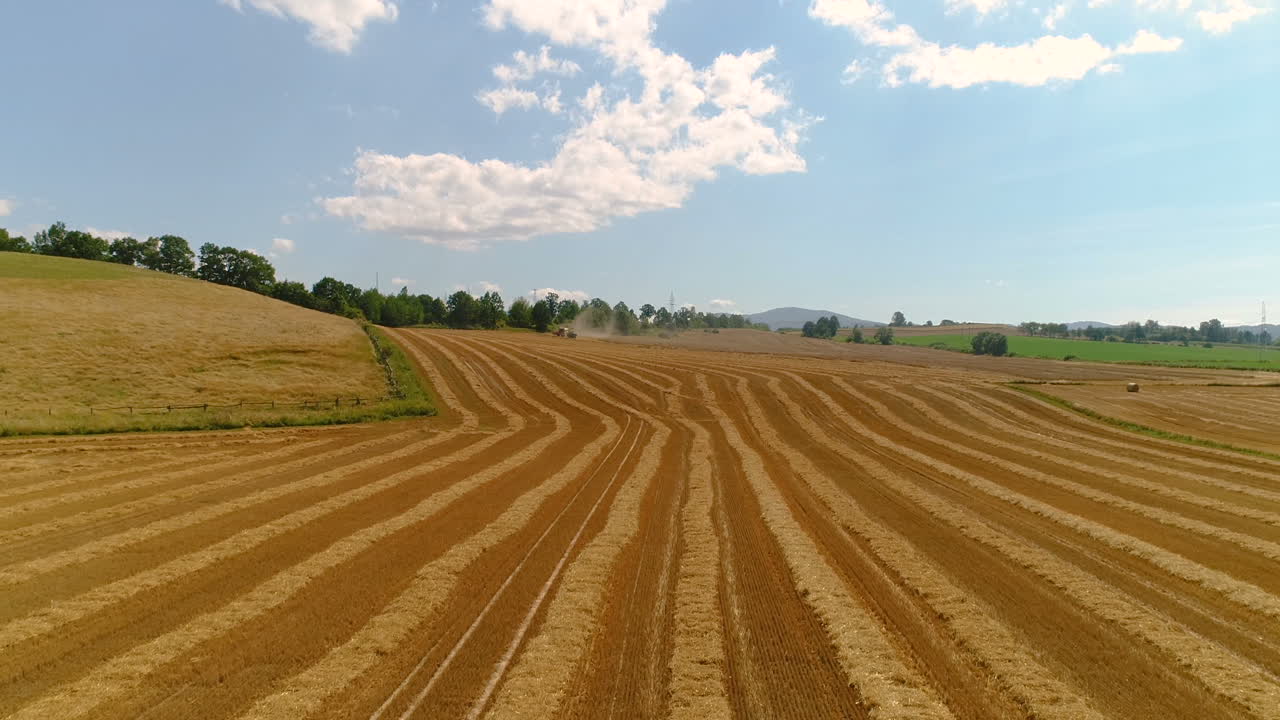 Frisch geerntetes Weizenfeld 4K