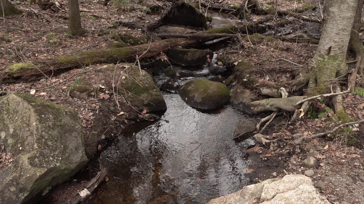 A small stream flows down a little mountain with reflections on the water, many rocks, and dead branches on the ground.