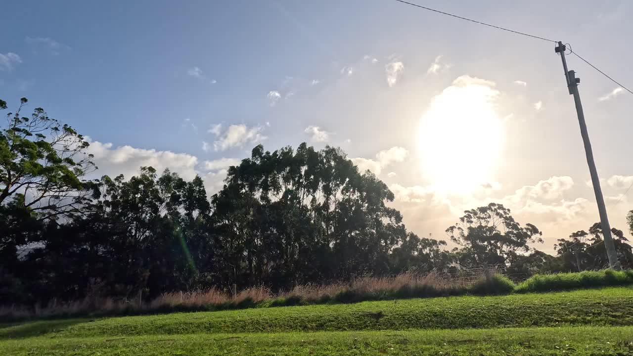 나무 뒤에 해가 지는 경치 좋은 드라이브