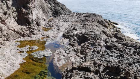 Clear-natural-water-pool-in-rocky-hill-during-sunny-day-and-beautiful-Pacific-Ocean-in-background---slow-panning-shot---Spirits-Bay,New-Zealand