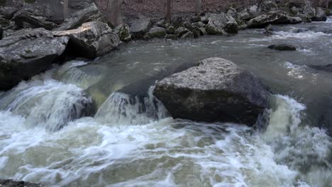 un río que corre sobre las rocas y los cantos rodados en el bosque en la temporada de otoño