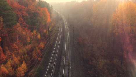 aerial view of railroad in colorful forest with red leaves at foggy sunrise in autumn. top view of rural railway station, trees in fog and gold sunbeams in fall. railroad in sunny morning from drone