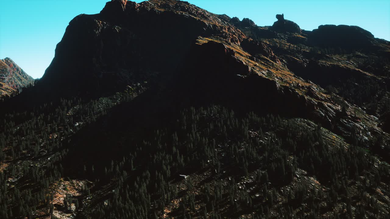 del panorama del bosque cónico en las montañas