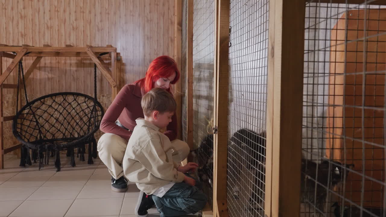 rödhårig kvinna och vit pojke knäböjer vid en hundkoja i trä och inspekterar spärren samtidigt som de tröstar en liten hund, varmt skyddsrumsinteriör med rustik bänk och klinkergolv, ett fint lärotillfälle där en volontär visar