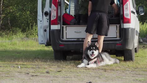 malamute de alaska descansando junto a una autocaravana con un hombre caucásico