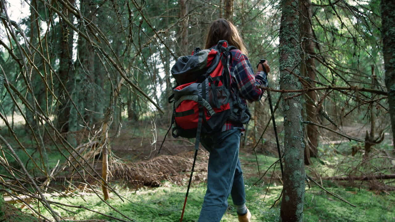 mujer caminando en el bosque de cuentos de hadas. mujer turista caminando en el bosque de verano