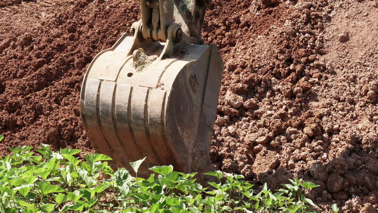 Digging some soil using a backhoe and putting them on a dumping truck at a construction site in the outskirts of Bangkok, Thailand.
