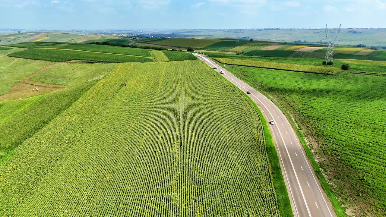 Winding road through farmland. Lush green fields stretch across the landscape beside a winding road under a clear sky, highlighting rural serenity